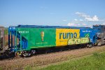 RUMO HFE-097713-6